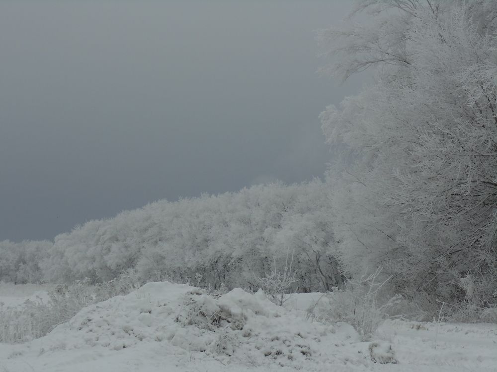 Photo #6900929