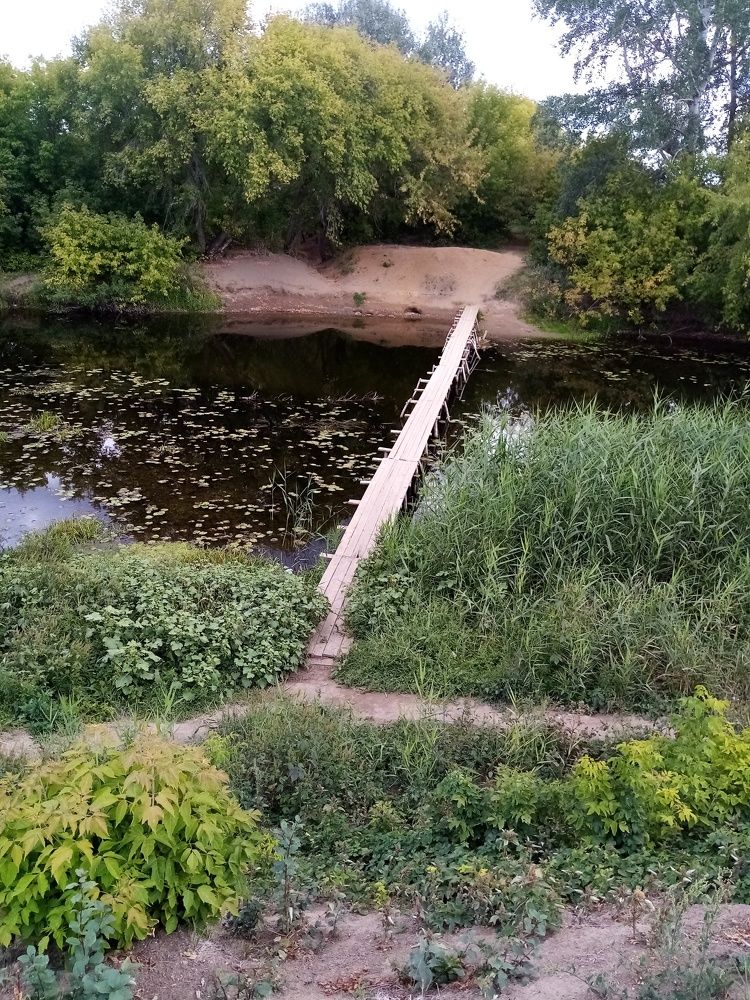 Photo #6900952
