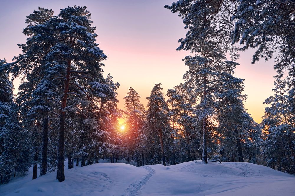 Photograph by Сергей Кочетов