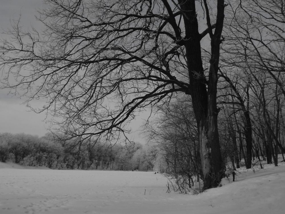 Photo #6900968