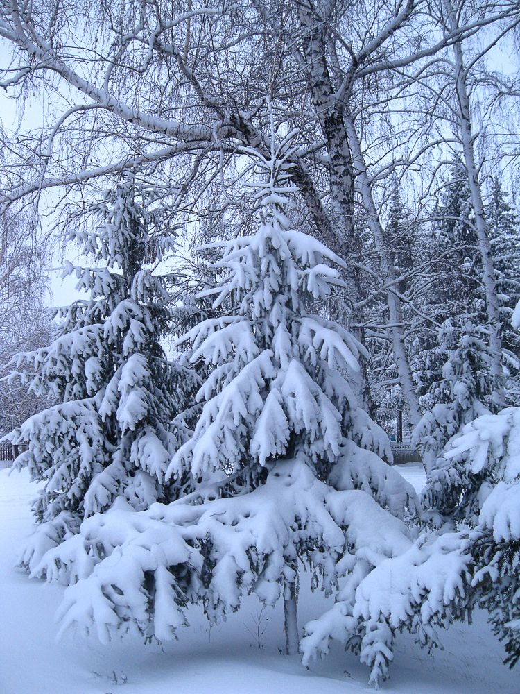 Photograph by Elena Khalizova