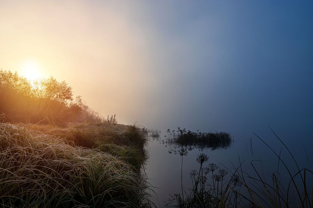 Photograph by Сергей Кочетов