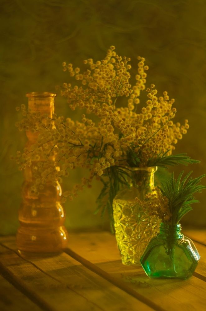 Photograph by Антон Круговов