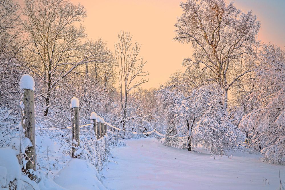 Photograph by Александра Климина