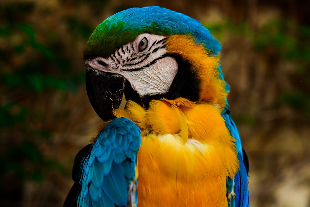 Photograph by Oleksii Smoliakov