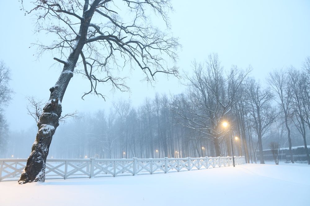 Ранним утром в старинном парке...