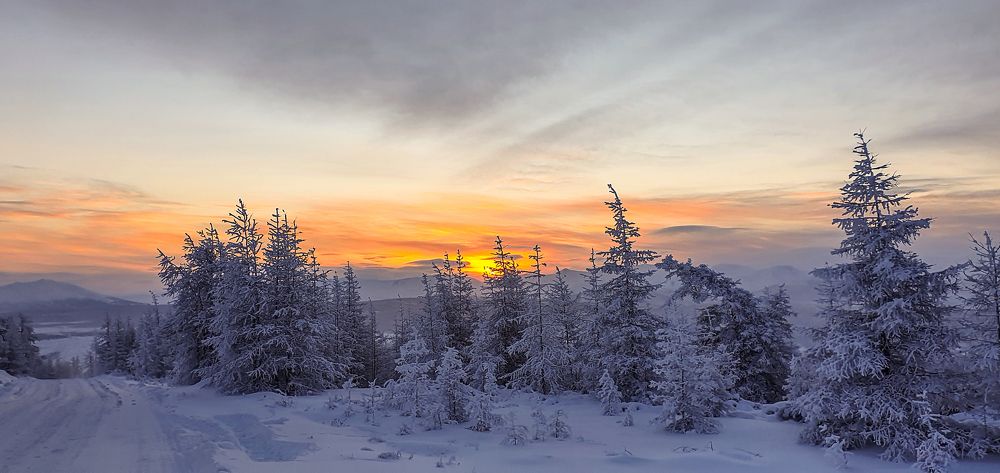 Photograph by Олег Молчанов