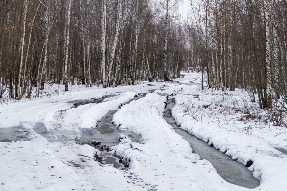 Photograph by Алексей