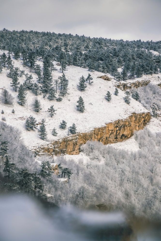 Photograph by Никита