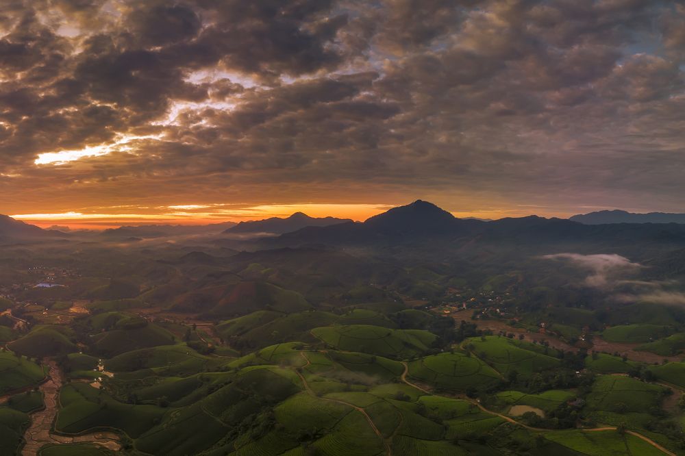 Photograph by Anh Tuấn Trần