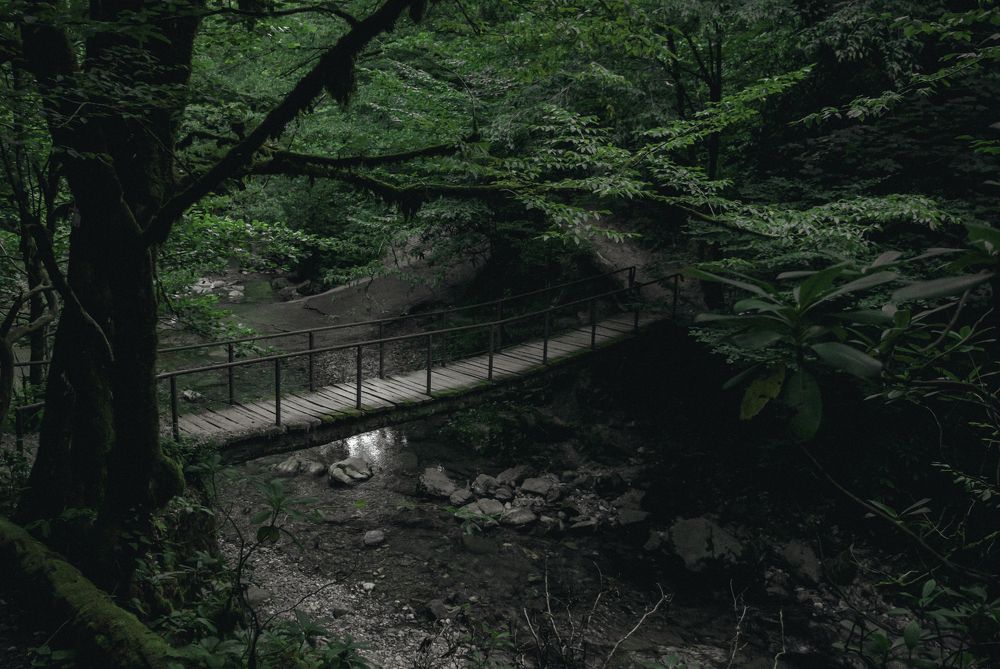 Photograph by Антон Круговов