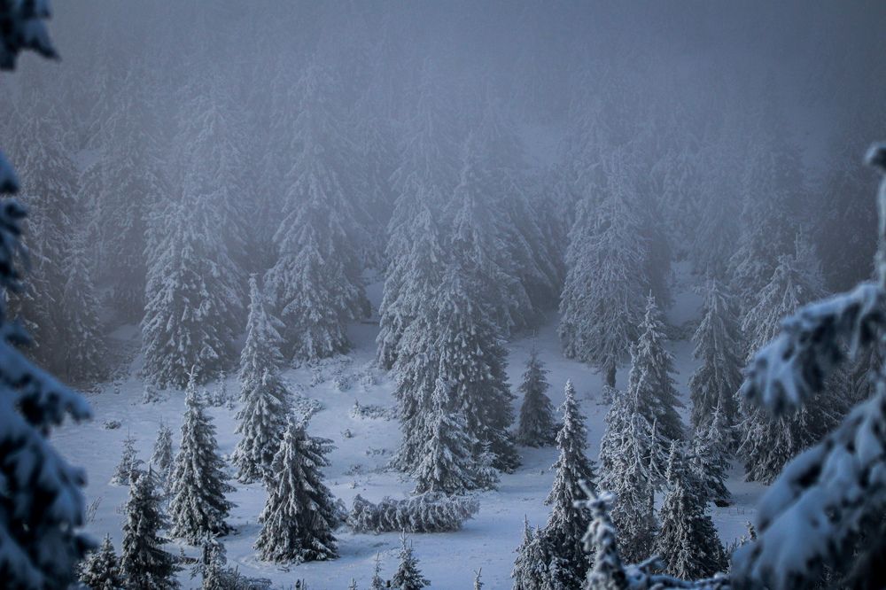 Photograph by George Alexandru Ghiuro