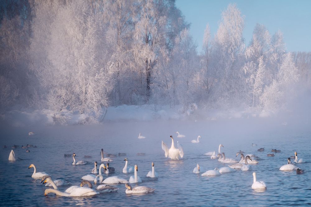 Photograph by Ольга Рагинская