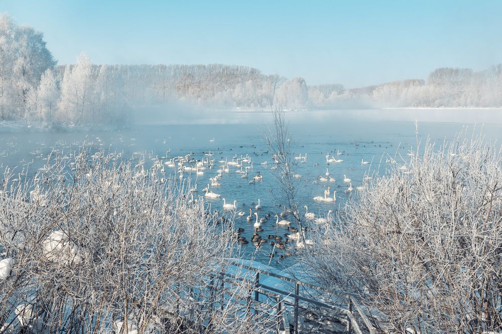 Зимнее озеро