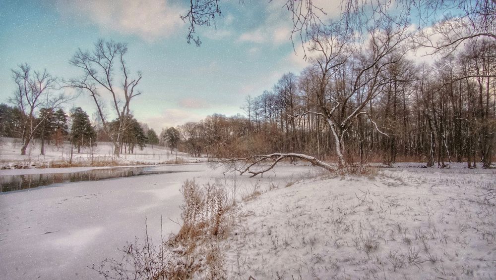 Photograph by Елена Пасажицкая