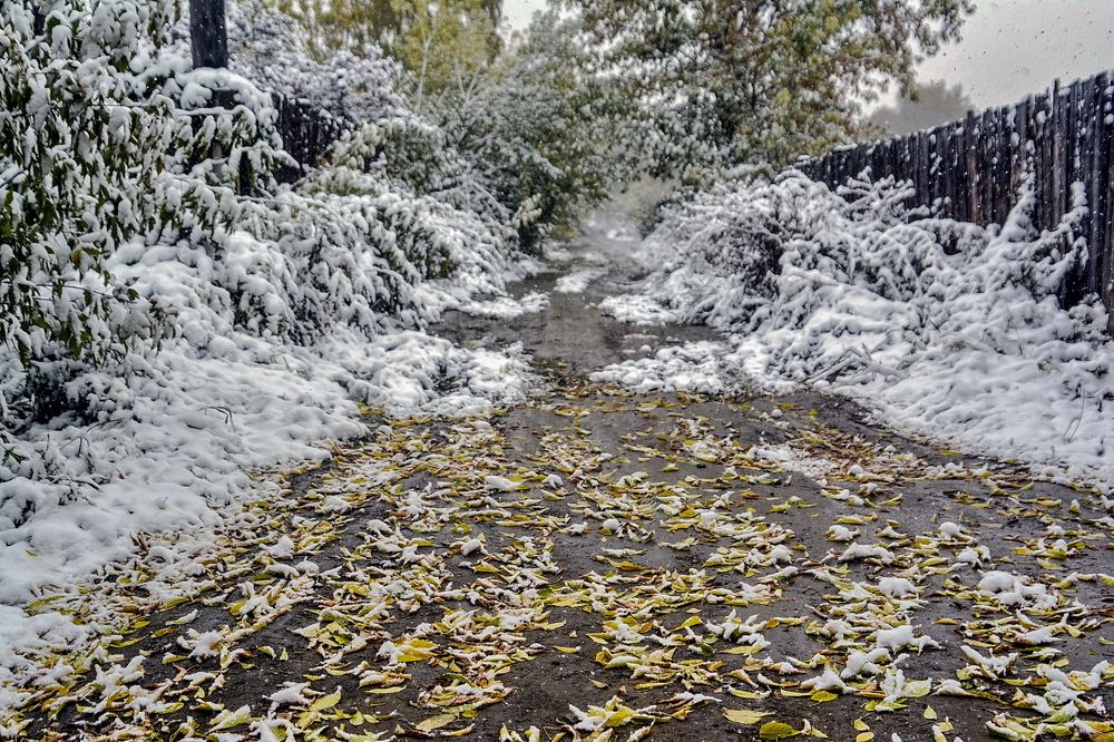 Photograph by Юрий Назыров