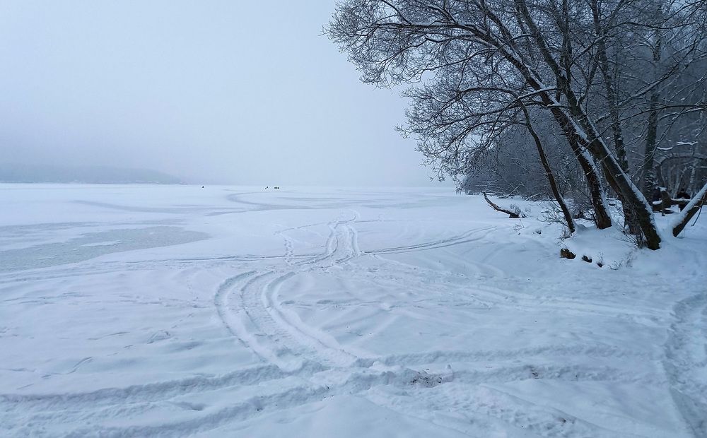 Photograph by Владимир Гречанинов