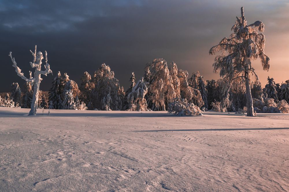 Photograph by Никита Волокитин