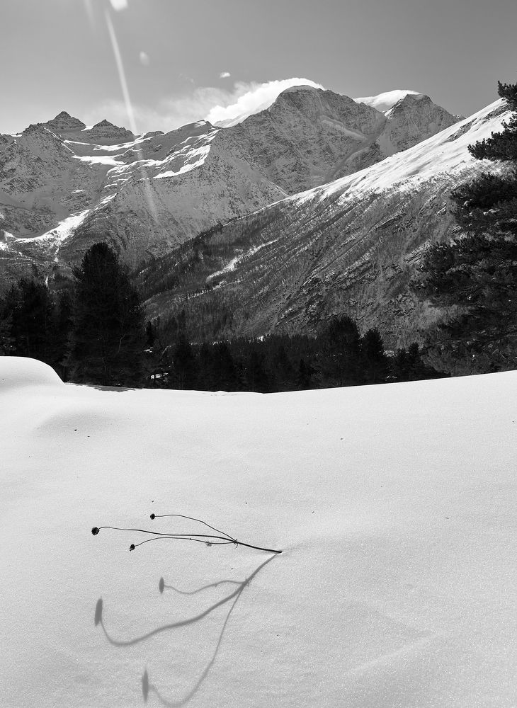 Photograph by Исам Хадж Ехья