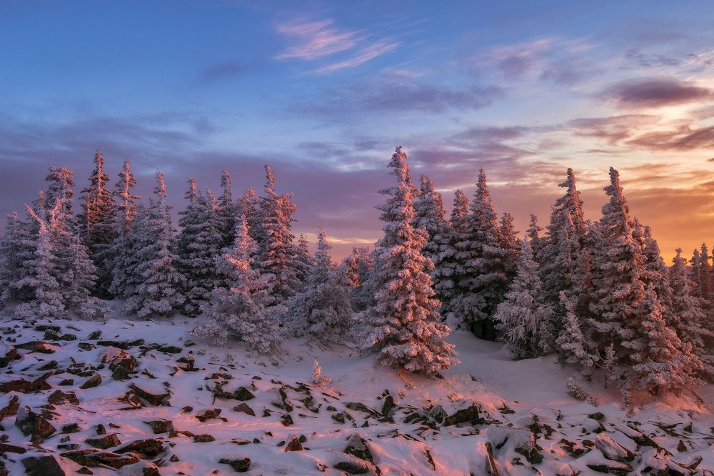 Photograph by Андрей Шарапов