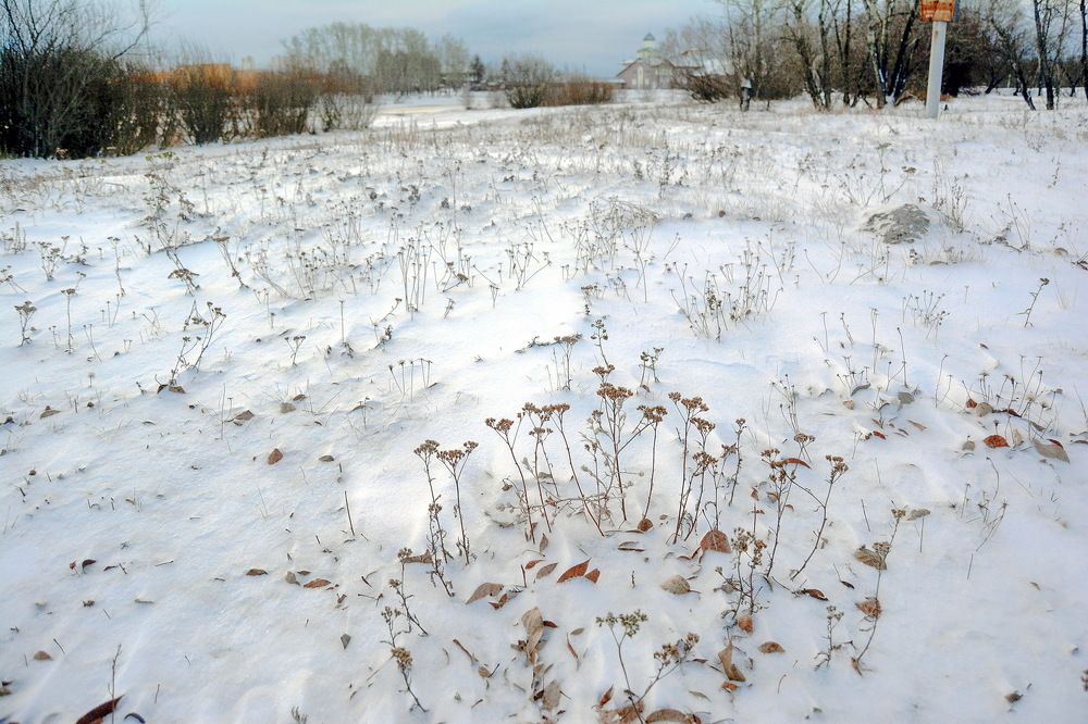 Photograph by Юрий Назыров