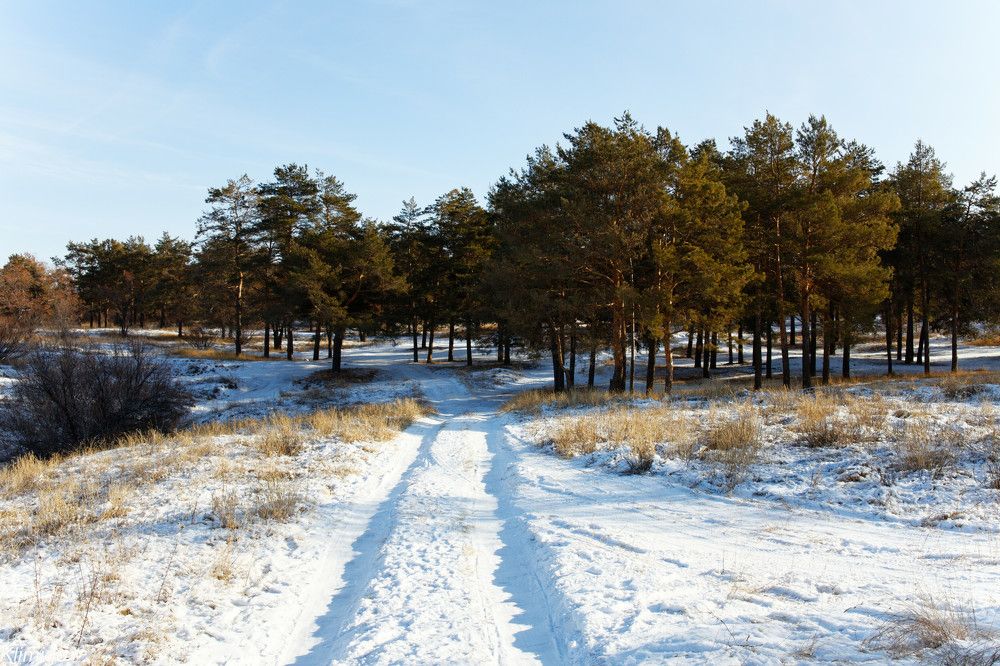 Photograph by Klimigo