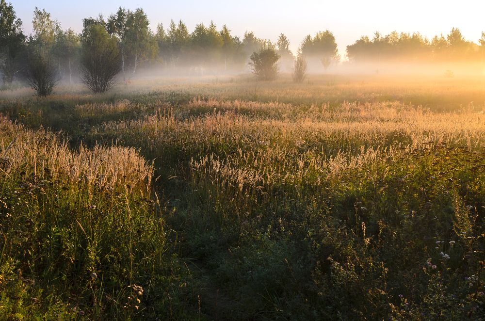 Photograph by Viktor Korotnev