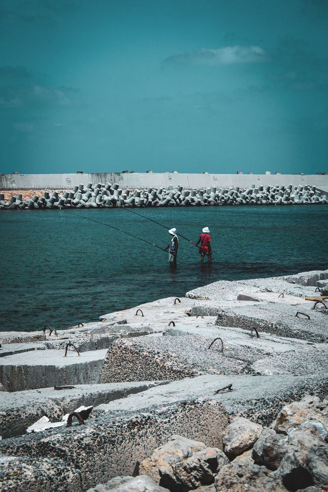 Photograph by basma atef