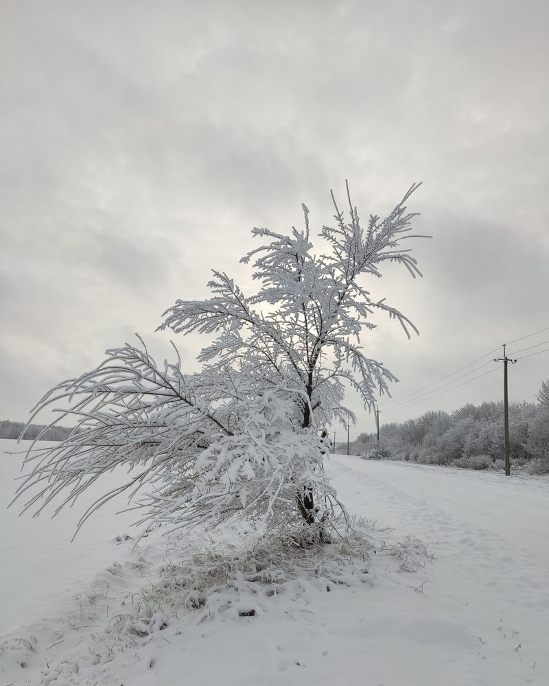 Photograph by Иван