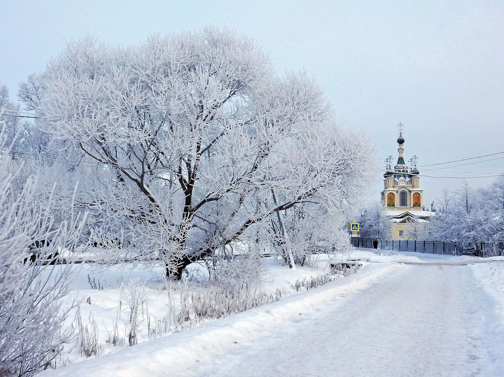 Photograph by Елена Гуляева