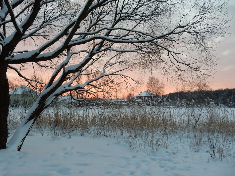 Photograph by Елена Гуляева