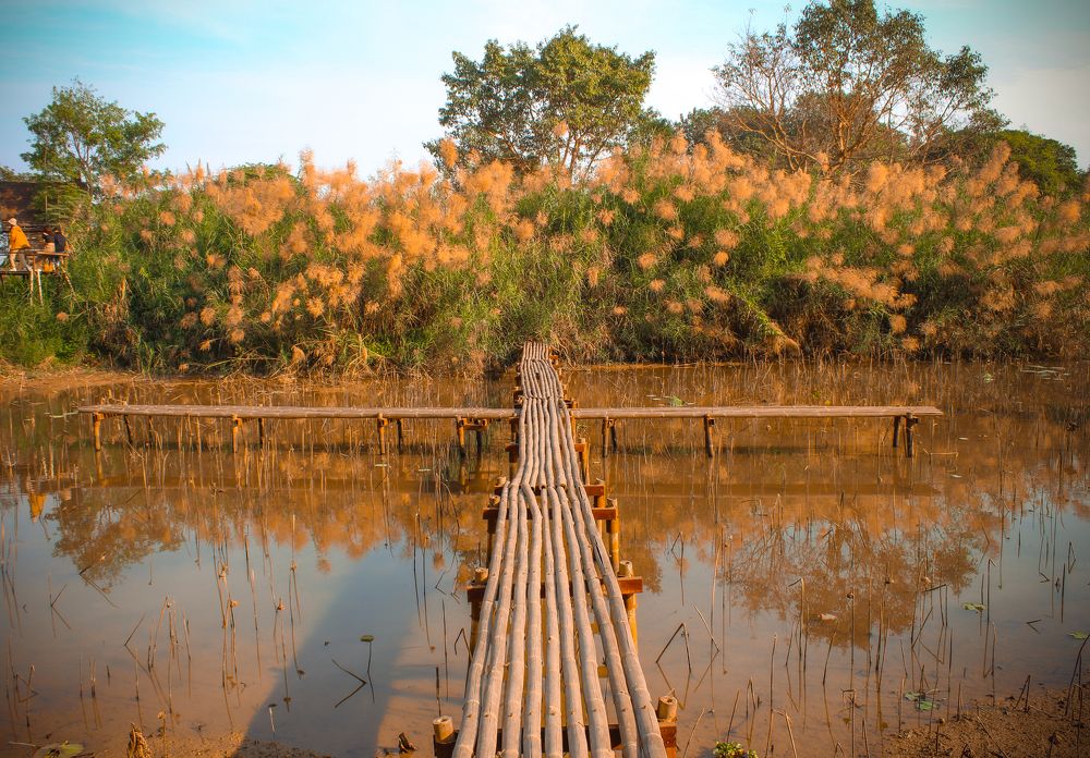 Photograph by Do Thị Trung Anh
