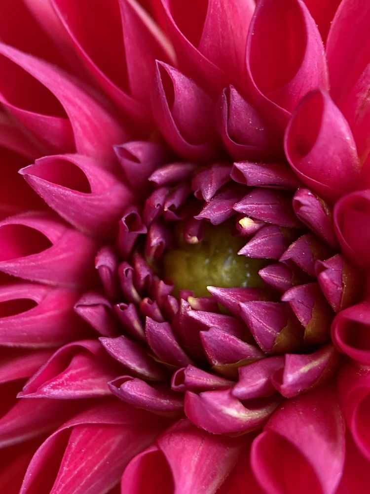 Фотография автора Наталья Василькова