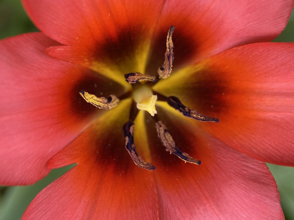 Фотография автора Наталья Василькова