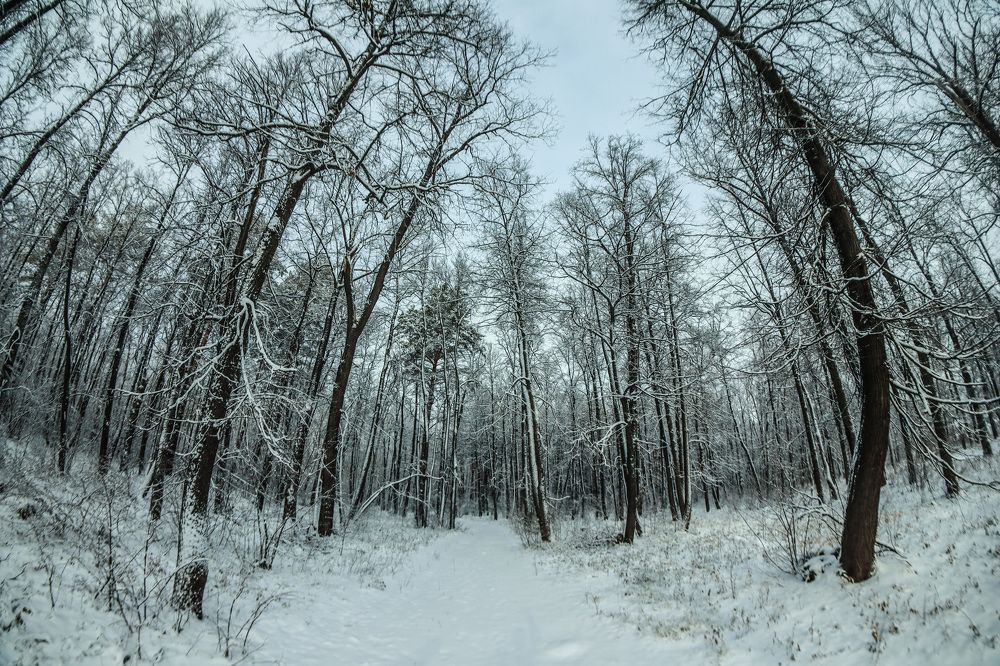 Photograph by Денис Геранькин