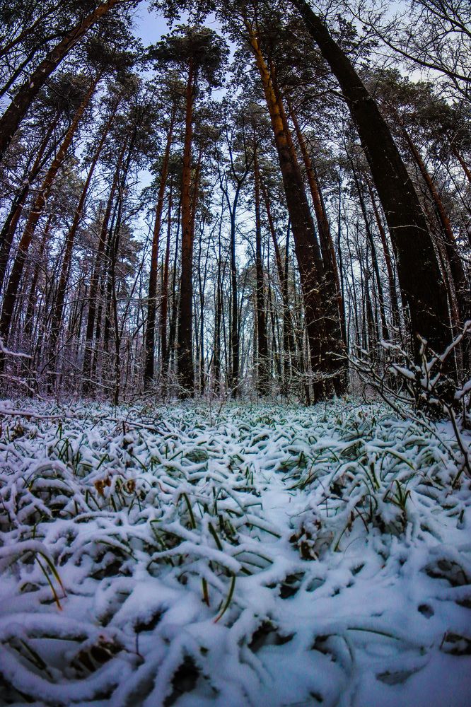 Photograph by Денис Геранькин