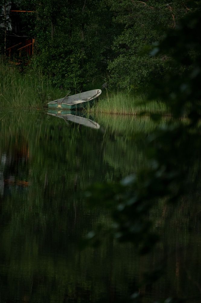 Photograph by Юлия Куликова