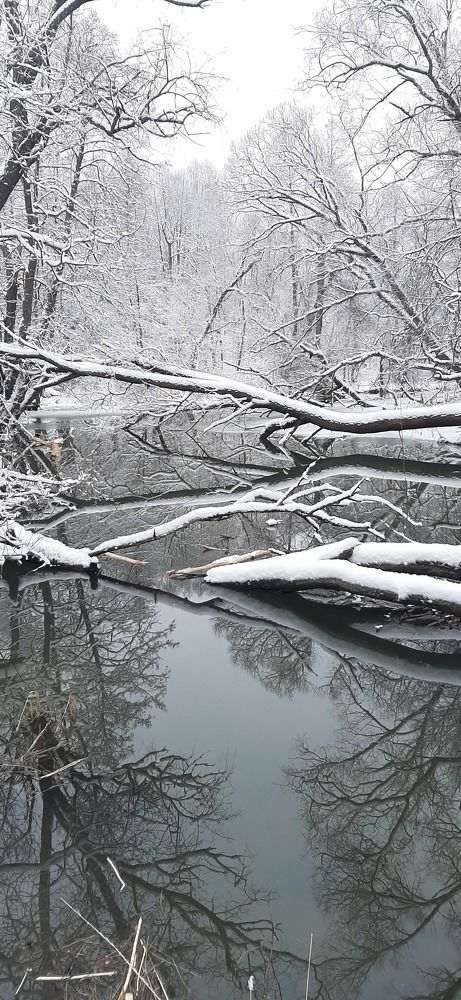Photograph by Ольга Зиновьева