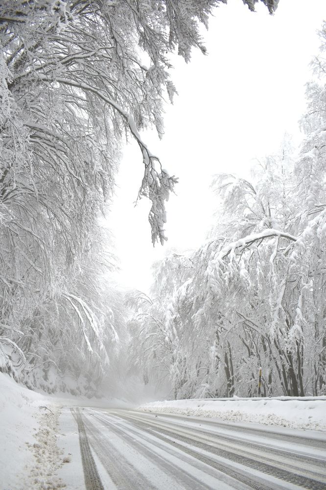 Photograph by ILIAS DIMITRIOU