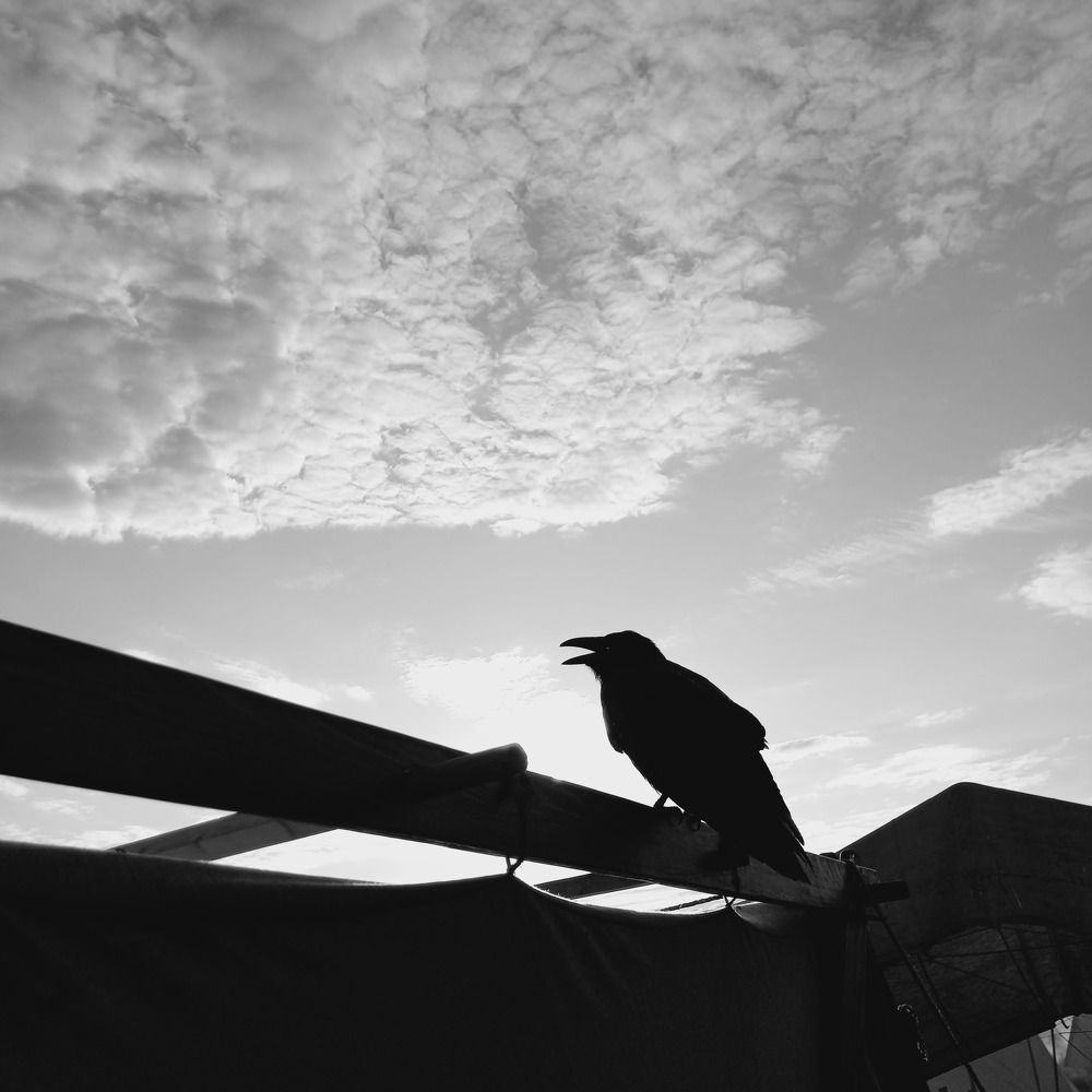 Photograph by Юлия Алпатова