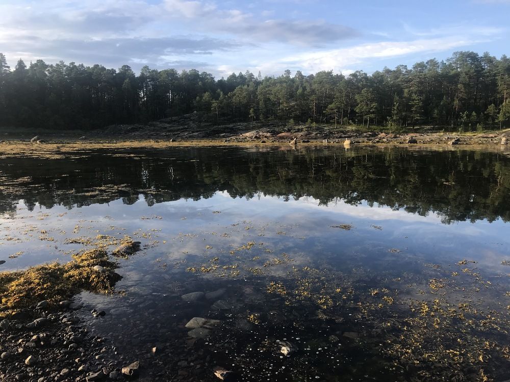 Фотография автора Gulnara