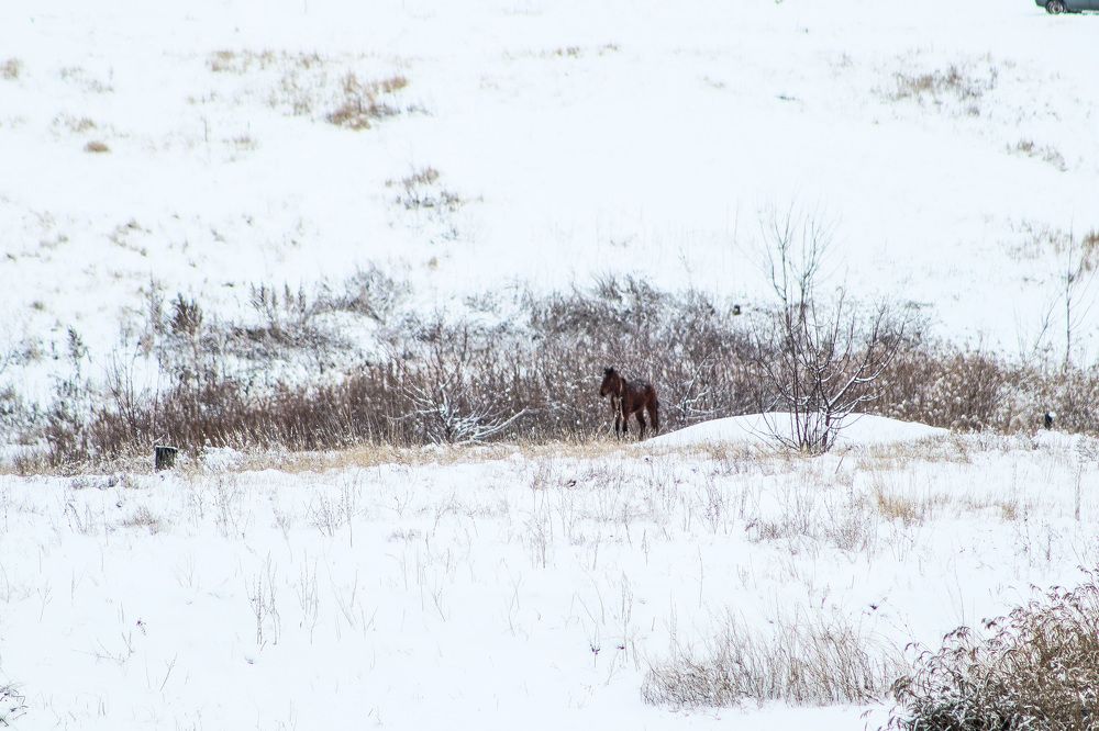 Photograph by Денис Геранькин
