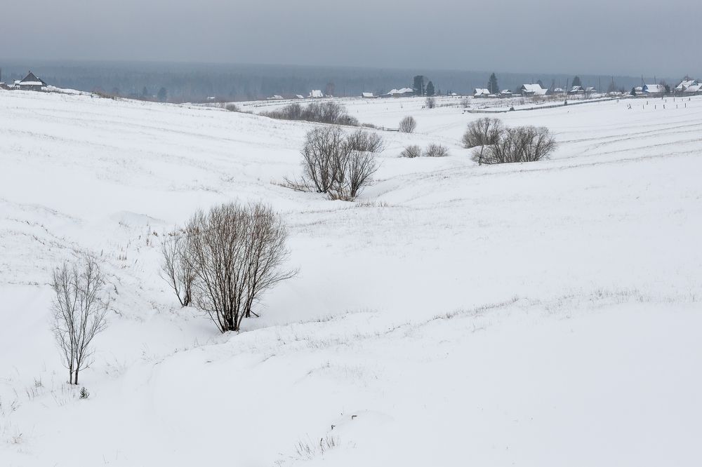 Фотография автора Андрей Логвинович
