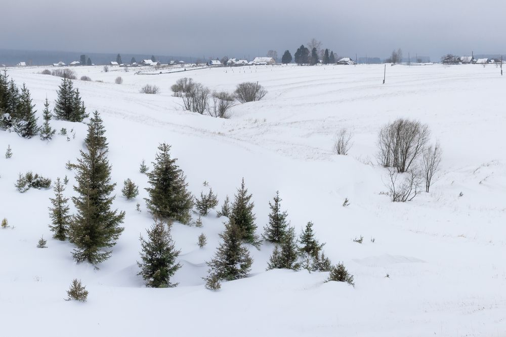 Фотография автора Андрей Логвинович