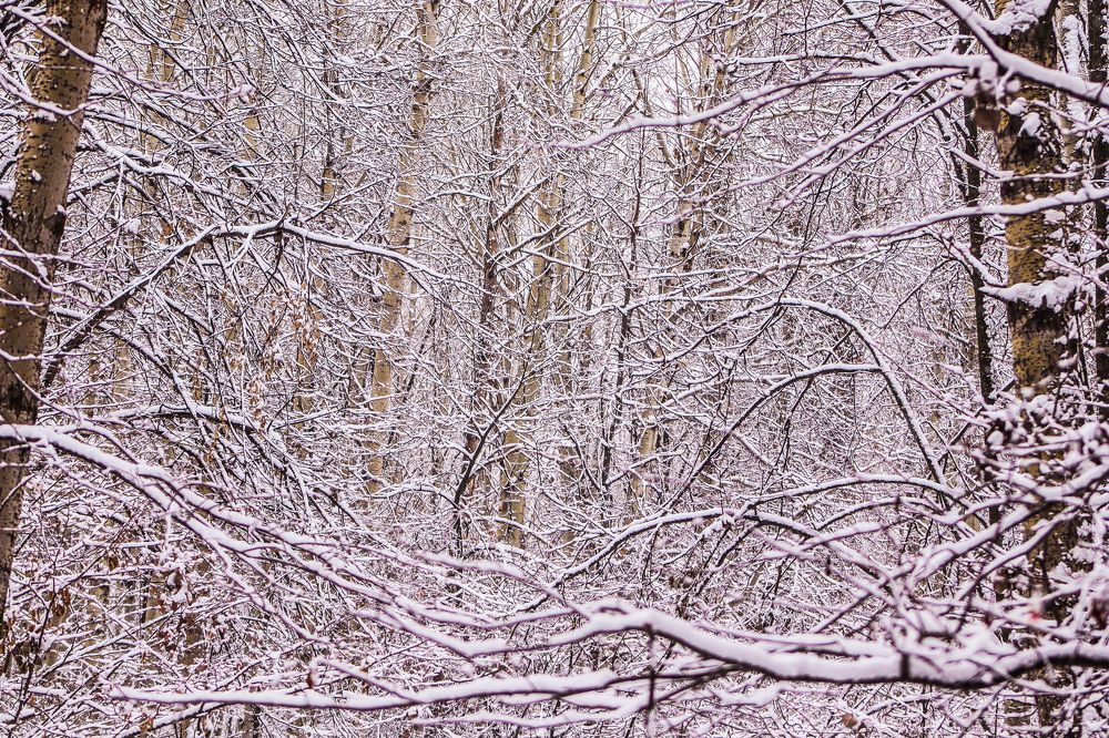 Photograph by Денис Геранькин