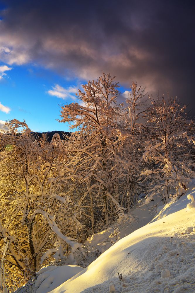 Photograph by ILIAS DIMITRIOU