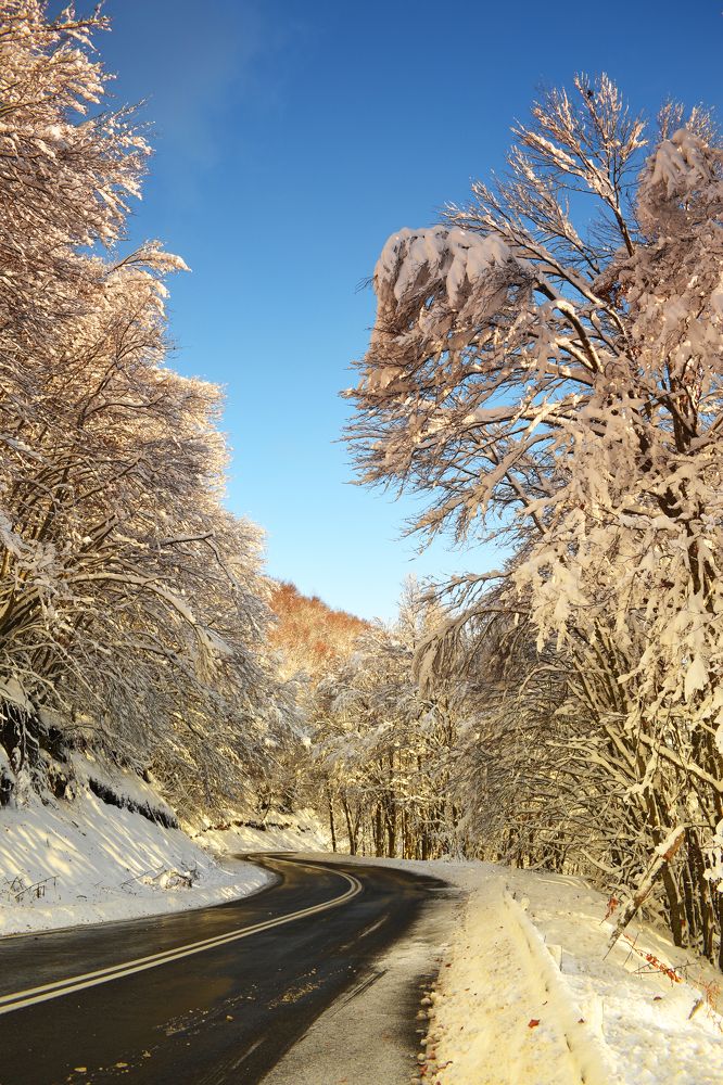 Photograph by ILIAS DIMITRIOU