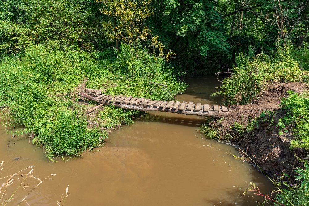 Photograph by Валерий Петухов