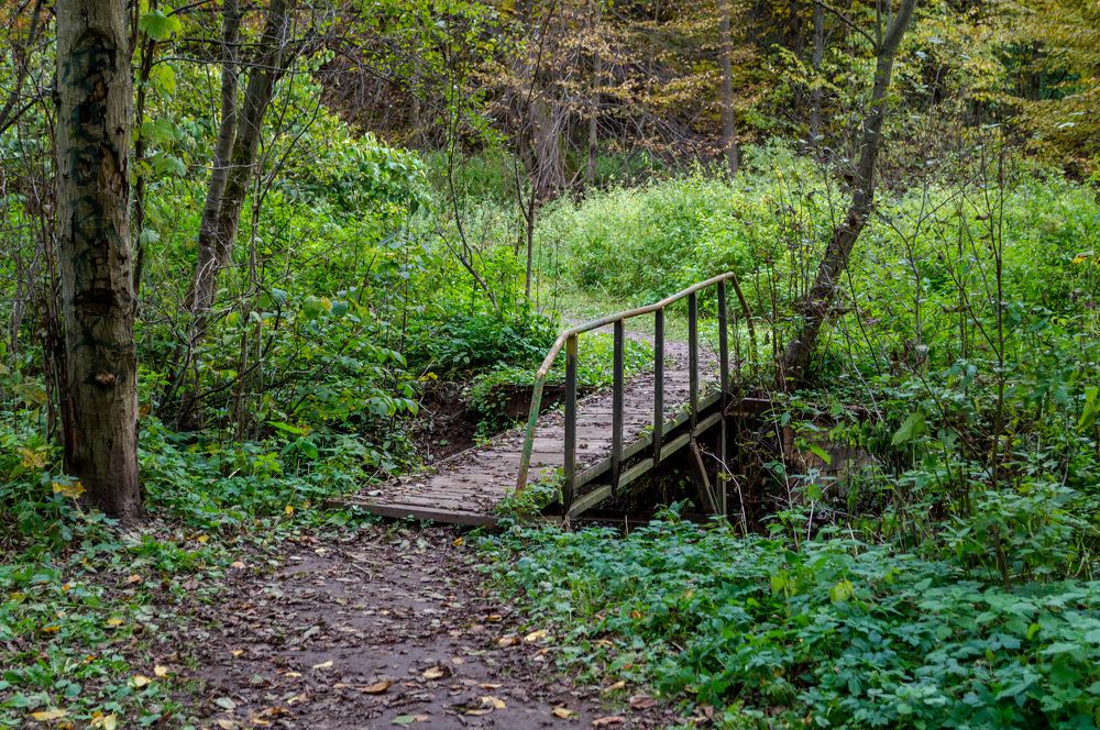 Photograph by Валерий Петухов