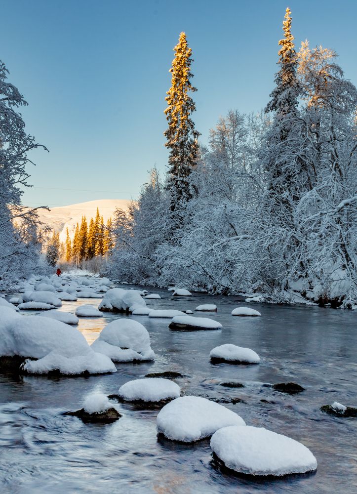 Photograph by Ирина Крепак